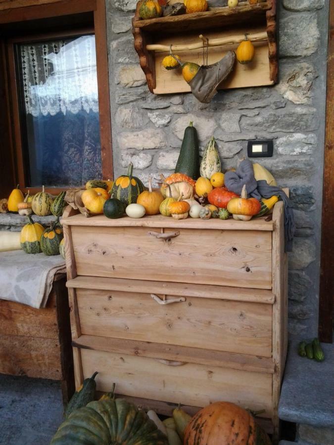 Allein Maison De Frein מראה חיצוני תמונה